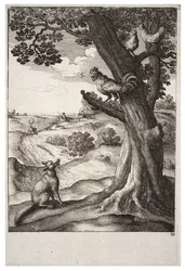 Le renard et le coq